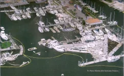 FTP city marina 1.webp