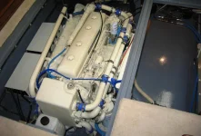 Bilge.webp