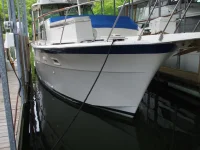 DSCF1140.webp