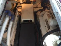 IMG_0357 copy (1).webp
