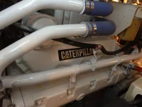 Pussy.webp
