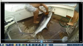 BMYF 5.webp