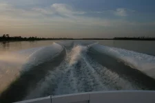 IMG_1109.webp