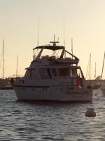 Vineyard Girls Newport Harbor.webp
