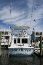 Transome blue marlin.webp