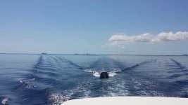 20140523_105206.webp