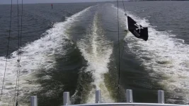 20150829_145024.webp