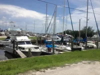 image.webp