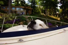 snooze.webp