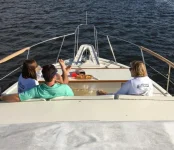 Bow IMG_0911.webp