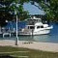 Seahorse55
