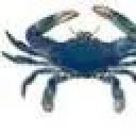 mrdeepseafisher