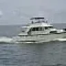 bigbill