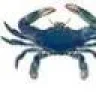mrdeepseafisher