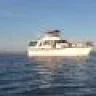 tunasea
