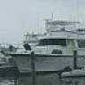 sandspur1966