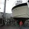 1Hogtow