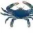 mrdeepseafisher