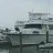 sandspur1966