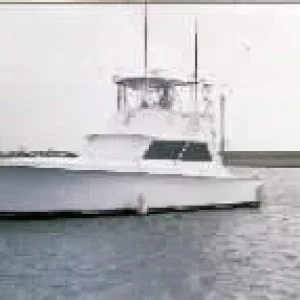DDII