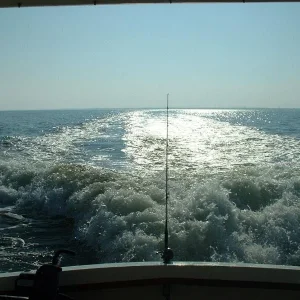 going_home