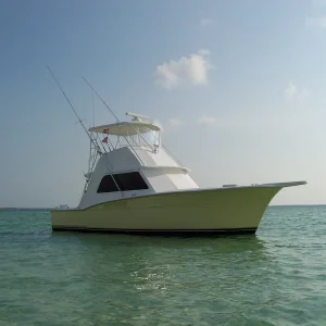 Bahama 36