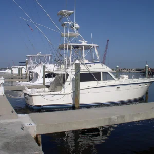Hutchinson Island Trip