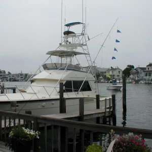 45' 1985 Polarizer