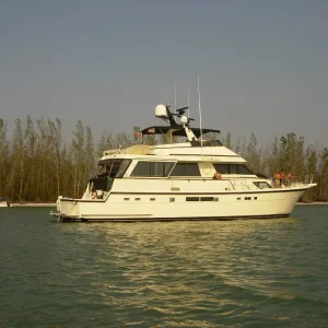 Reel Estate