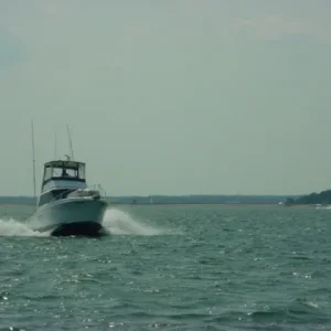Cruising