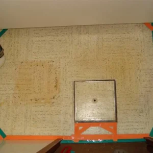 View of the whole floor