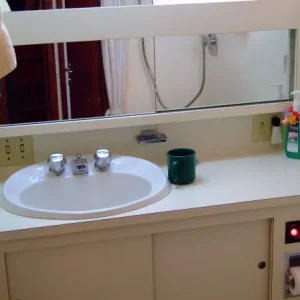 Mid Stateroom Head & Shower