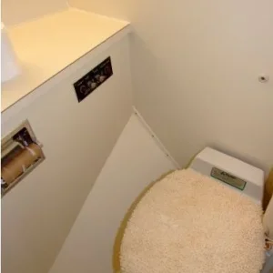 Forward Head & Shower