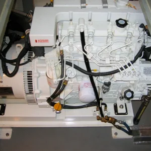 16KW NL Genny 10 years old...