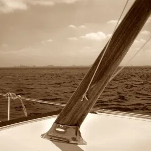 Freshly varnished mast