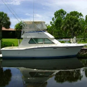 1985 36 series II