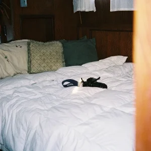 Aft Cabin