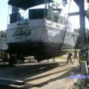 Haul_Out_010_small
