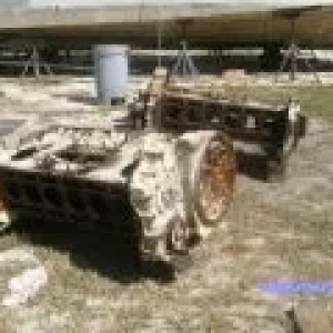 Haul_Out_024_small