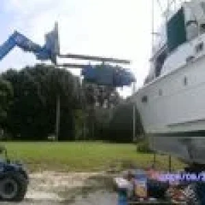 Haul_Out_025_small