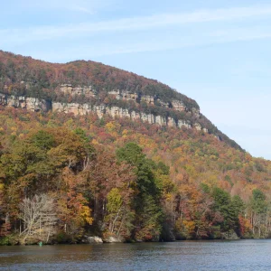 The "T" Wall, Nickajack Lake