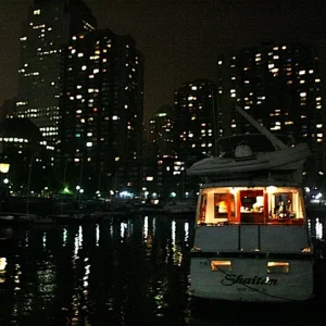 Shaitan at North Cove NYC at night