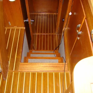 New Teak & Holly