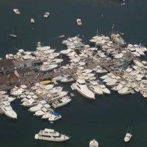 Paynes Dock