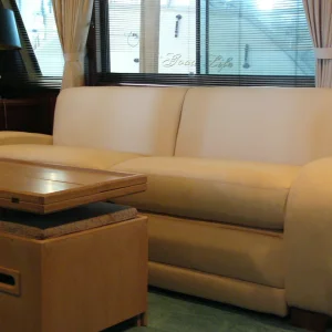 New_Couch_030810