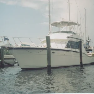 Docked in Naples, Fl