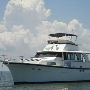 Seadation at Redfish