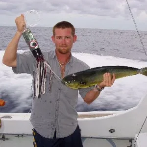 BRAVE FISH