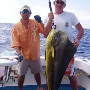 MAHI