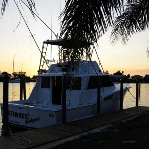 new dock1